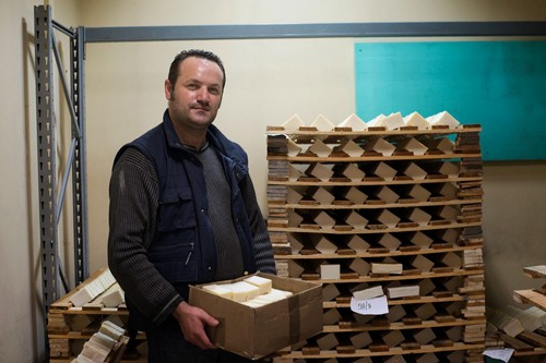 dismissal upon liquidation of an organization