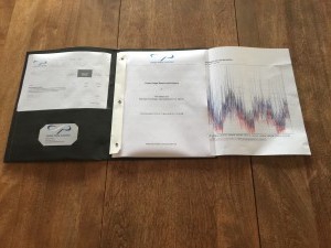 phonoscopic examination questions to an expert