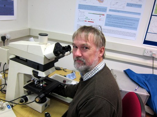 traceological examination of the tracks