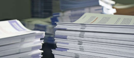 statutory constituent documents