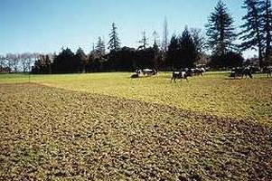 types of permitted use of land