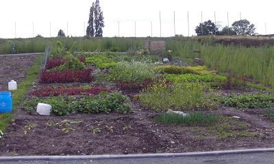 what is a cadastral passport to the land