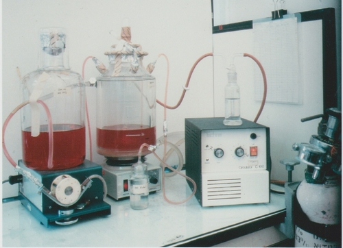 patent law concept objects entities