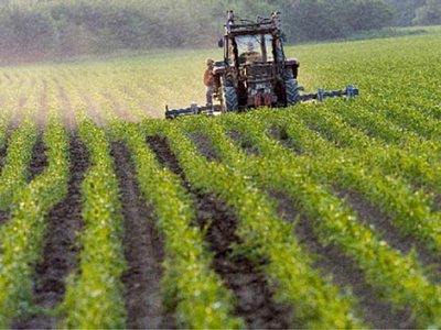 land purchase from destination x