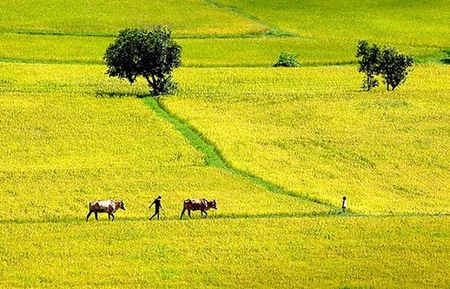 documents necessary for the purchase of land