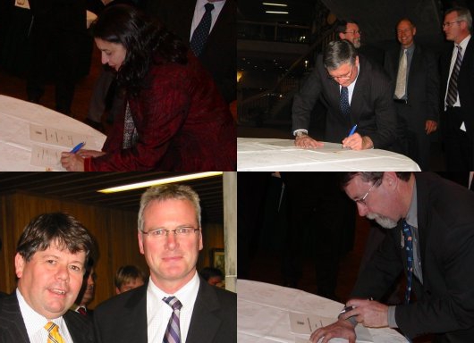 representative bodies in the local government system