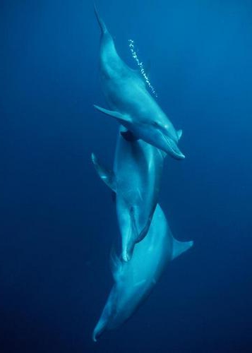 natural anthropogenic object