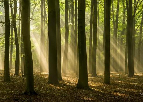 natural object and natural resource