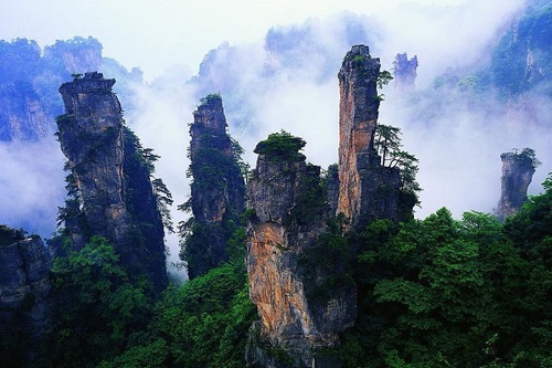 environmental objects