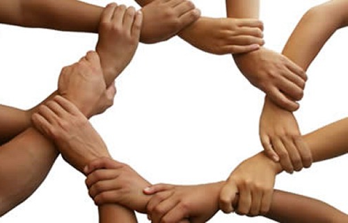 agricultural consumer cooperation