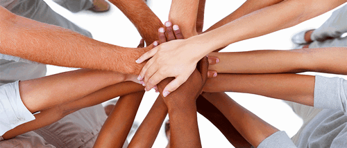 profit distribution protocol