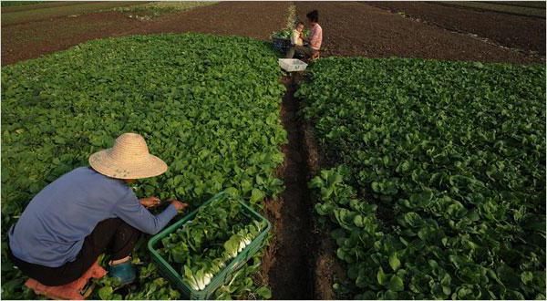 subjects of life inheritance right