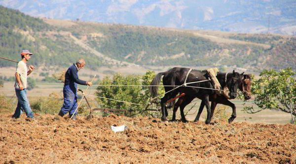 inherited tenure rights