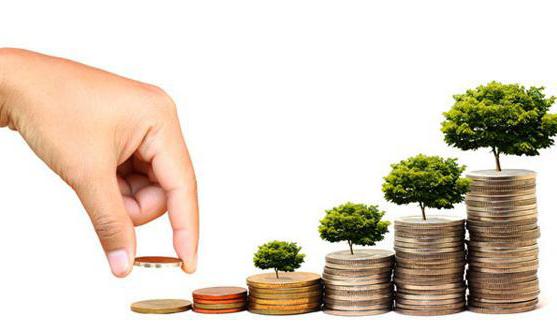 decentralized finance organizations