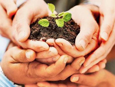 social and economic resources