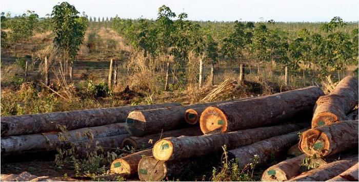 natural economic resources