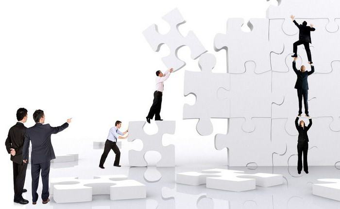 additional liability company constituent documents