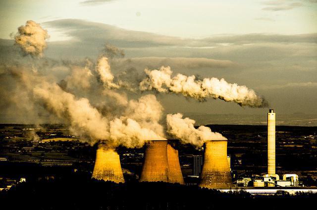 business entity in the economy