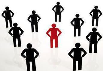 functional structure