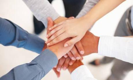 linearly functional management structure