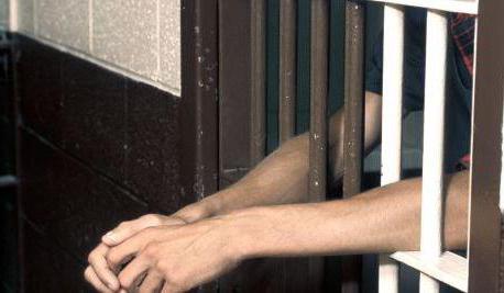 categories of crimes of the Criminal Code of the Russian Federation