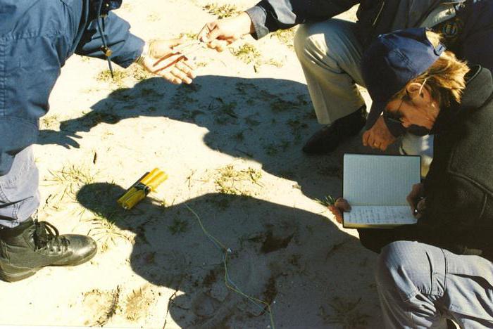 scene inspection report