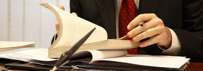 official duties of a legal adviser in a budgetary institution