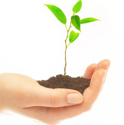 single exh agricultural tax