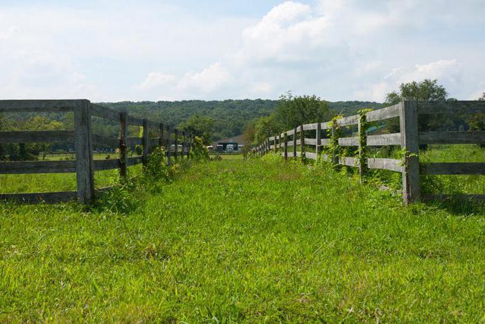 what documents are needed for the sale of land in gardening