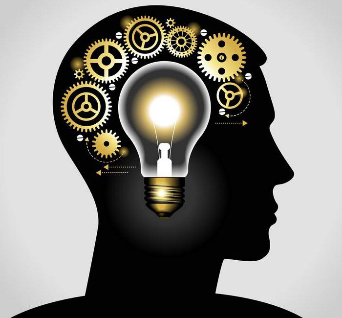 sub-license agreement for the transfer of non-exclusive rights