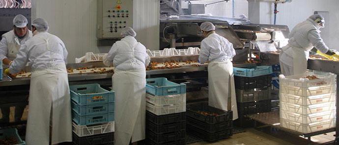 sanitary certificate