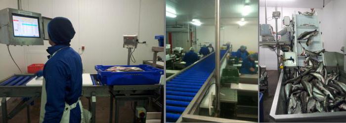 hygienic certificate for products