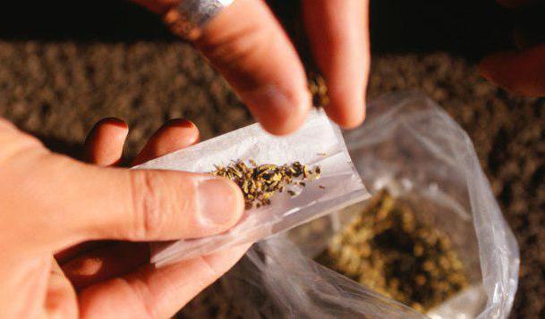 Article 228 1 of the Russian Federation