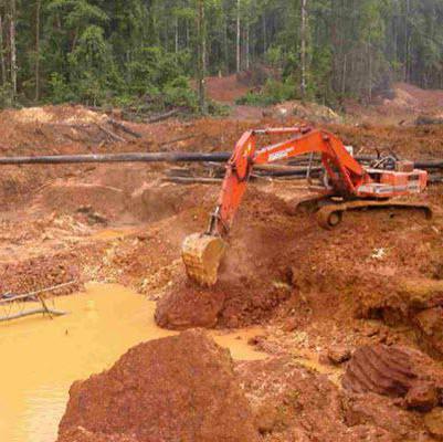 activity licensing law