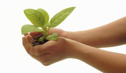 environmental impact assessment construction project