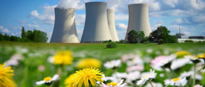 preliminary environmental impact assessment