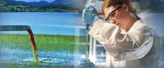 ecological and economic assessment of environmental impact