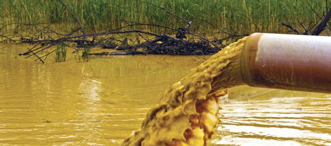 environmental impact assessment principles