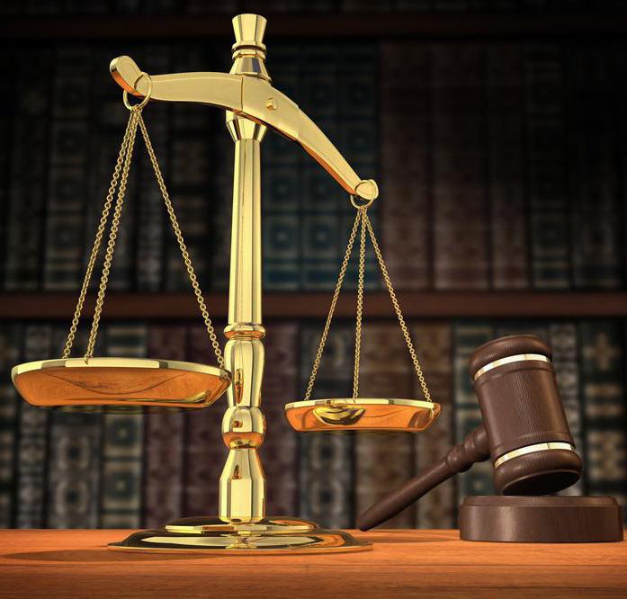 preliminary investigation in a criminal case