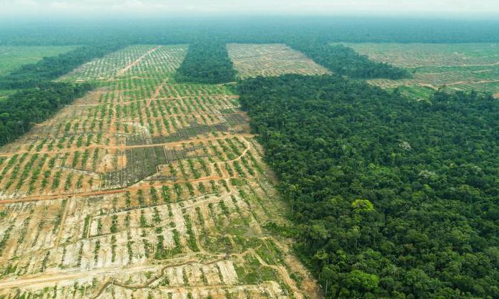 grounds for restricting land rights