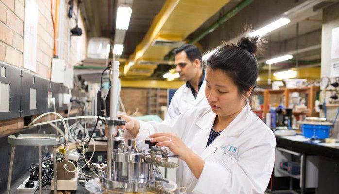 Head of the organization