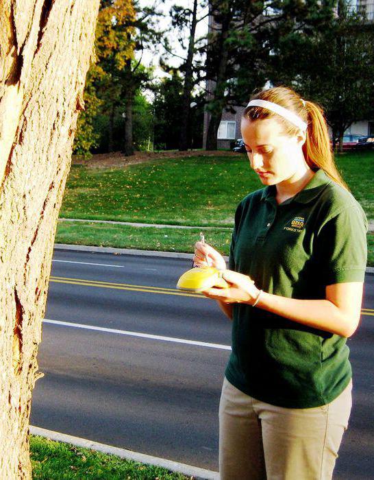 inventory of green spaces in a rural settlement