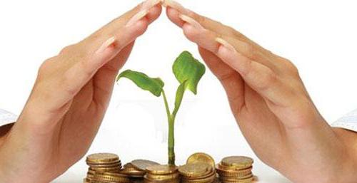  does not apply to signs of entrepreneurial activity