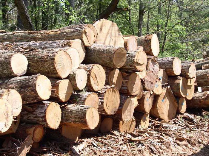 the concept of movable and immovable property