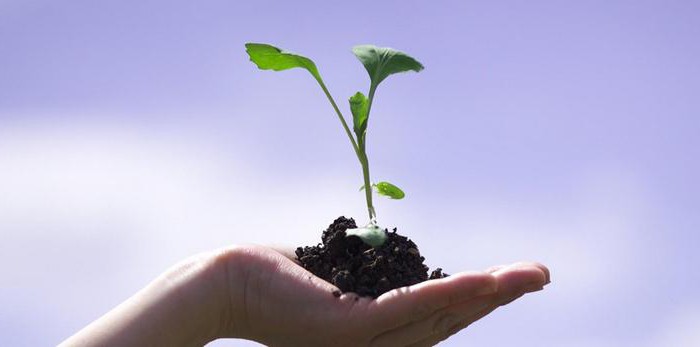 enterprise material resources