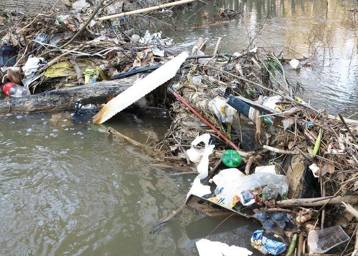 payment for environmental emissions