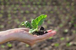  Russian law on peasant farming