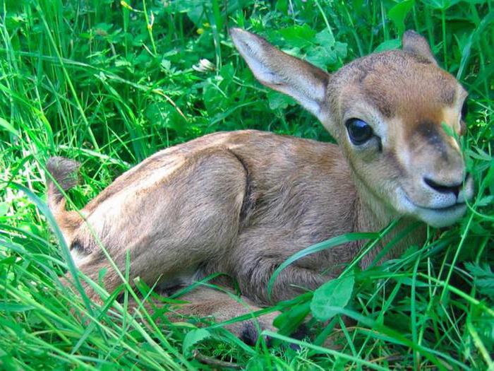  federal law on environmental protection