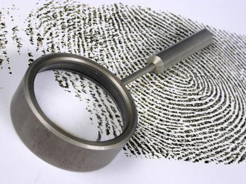 investigative task force staff