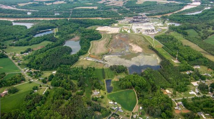 environmental rights of citizens are secured